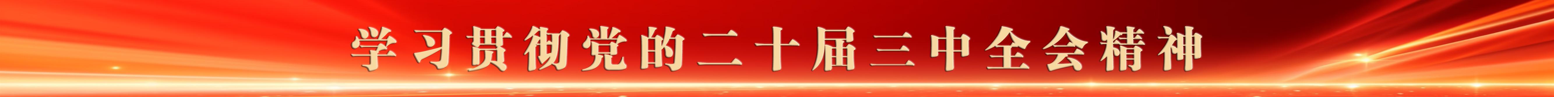 學習貫徹黨的二十屆三中全會精神